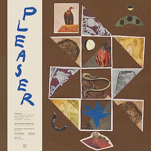 Pleaser Pleaser LP Vinyl NEW
