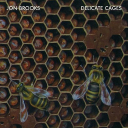 Jon Brooks Delicate Cages (CD) Album