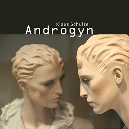 Klaus Schulze Androgyn (CD) Album