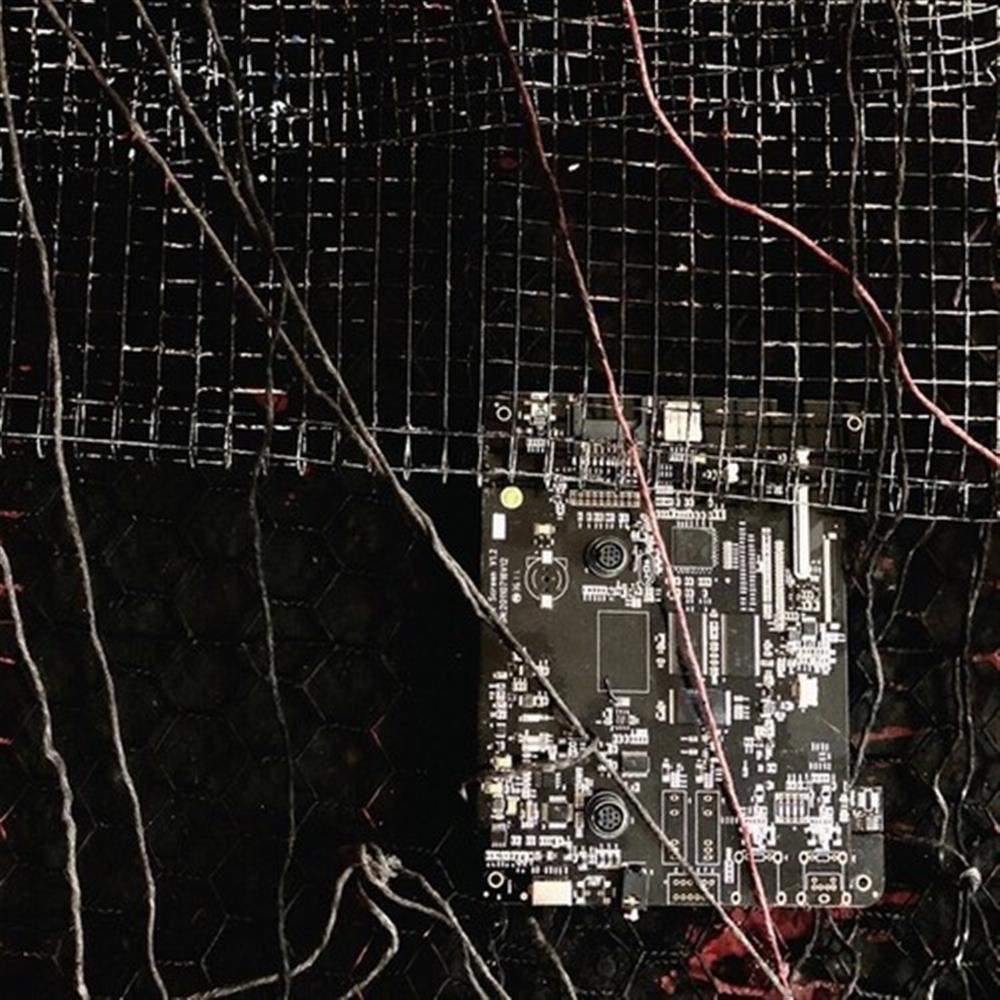 Black Crows Cyborg - Merzbow / Prurient (Vinile)