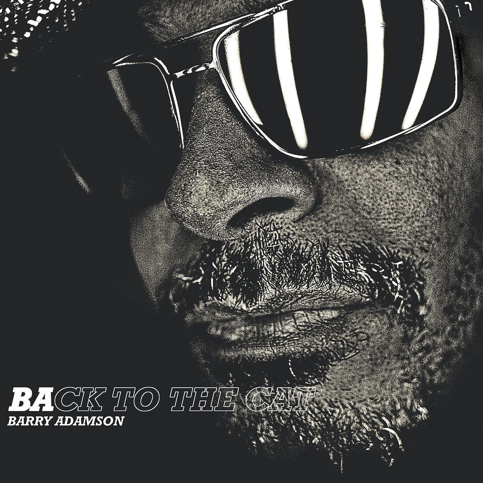Barry Adamson Back To the Cat LP Vinyl BARRY2 NEW