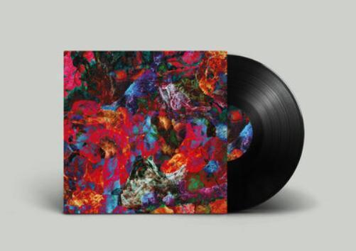 San Leo Aves Raras (Vinyl LP) 12" Album