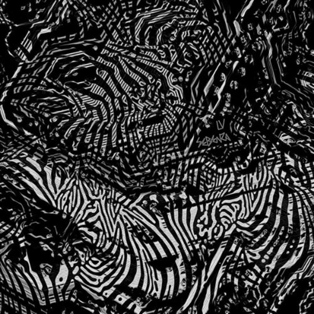 Sebenza - Lv (Audio cd)