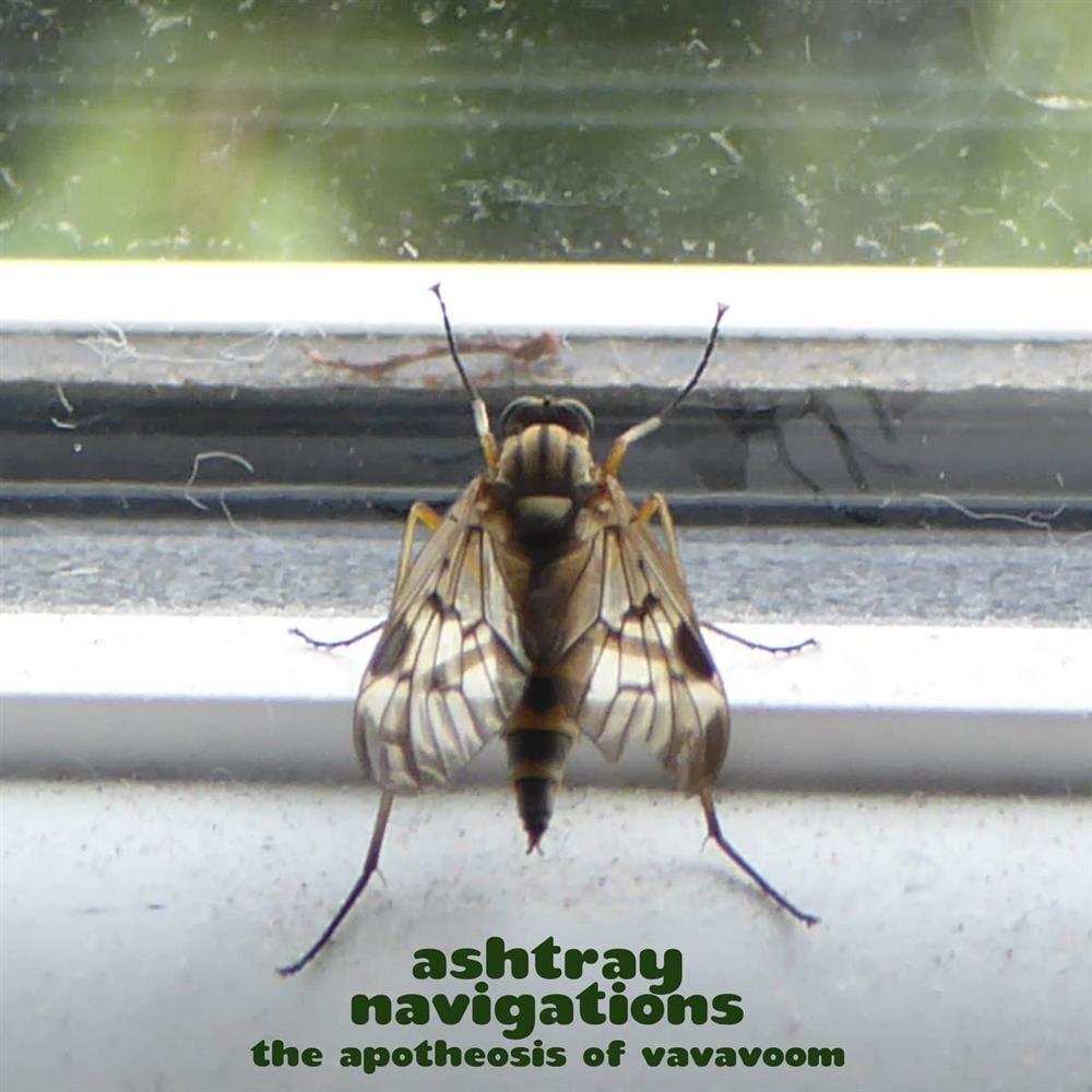 The Apotheosis Of Vavavoom (Green Vinyl) - Ashtray Navigations (Vinile)