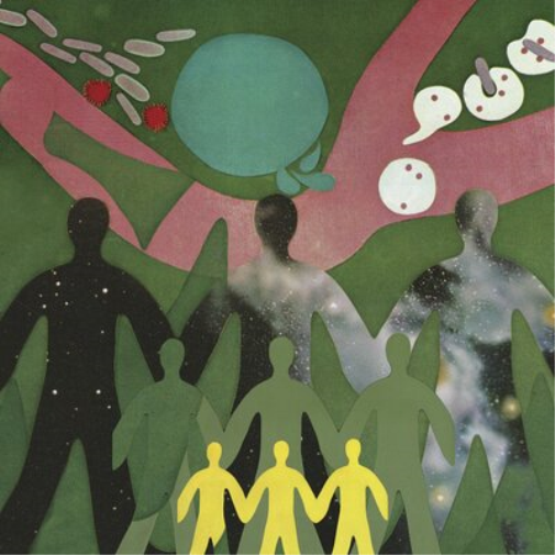 Daniel O'Sullivan The Physic Garden (Vinyl LP) 12" Album