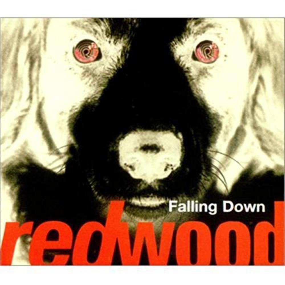 Falling Down - Redwood (Audio CD)