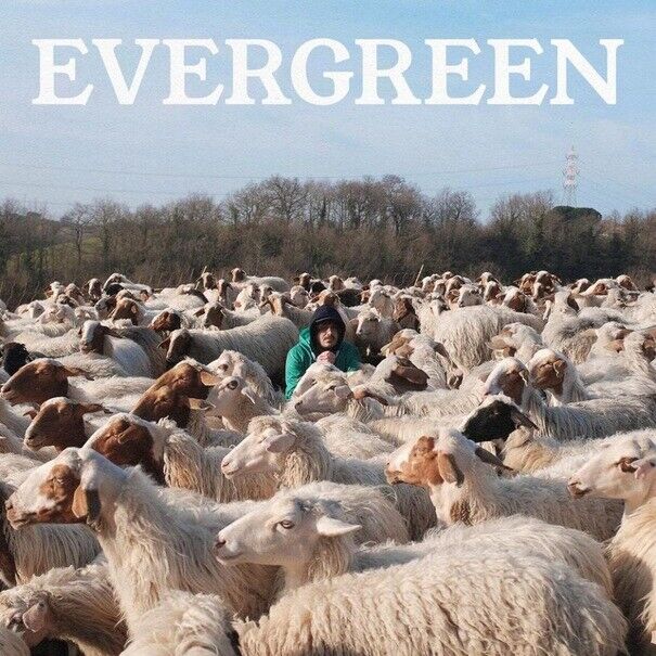 CALCUTTA - EVERGREEN ... E ALTRE CANZONI - 2CD NUOVO SIGILLATO 2019