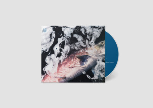 Jessika Kenney & Eyvind Kang Azure (CD) Album