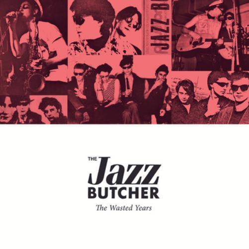The Jazz Butcher The Wasted Years (CD) Box Set