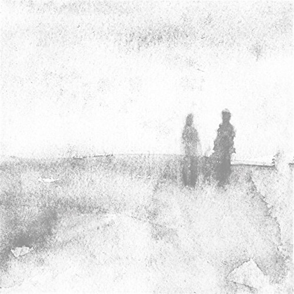 Dear And Unfamiliar - Birds of Passage + Leonardo Rosado (Vinile)