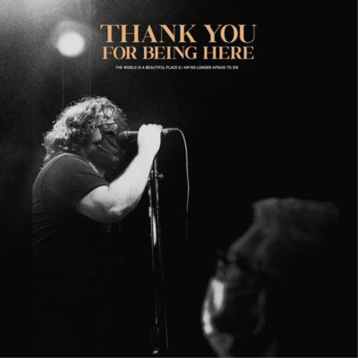 The World Is a Beautiful Place & I Am No Longer Afra Thank You for B (Vinyl LP)