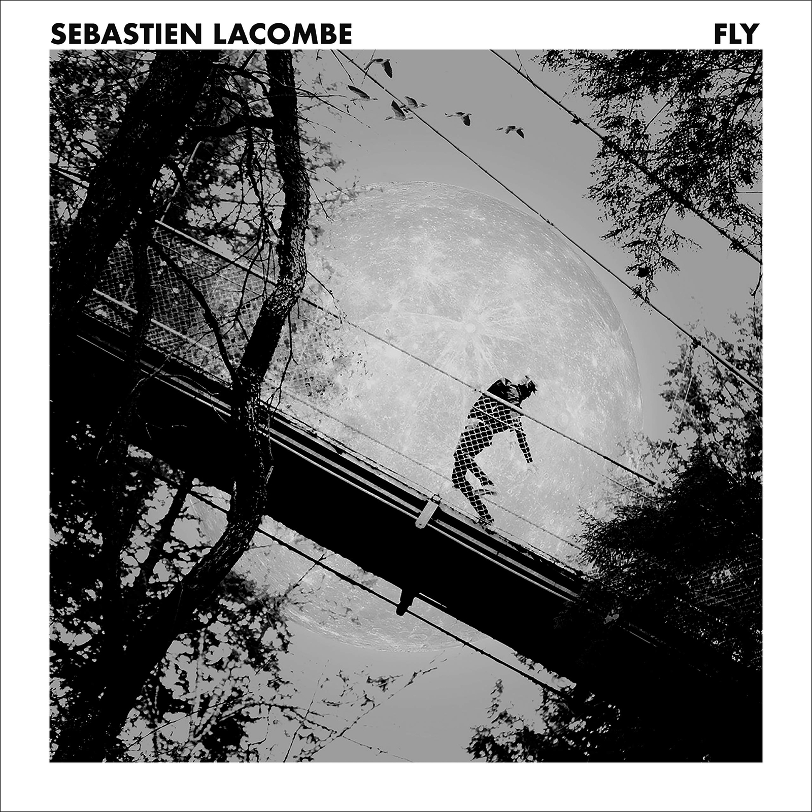 Sébastien Lacombe Fly (CD)