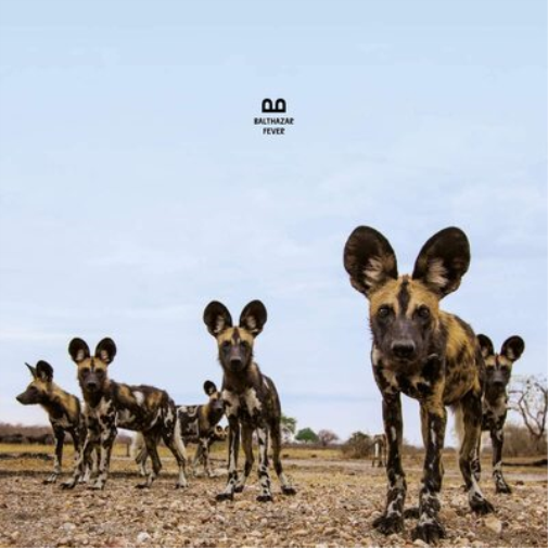 Balthazar Fever (Vinyl LP) 12" Album