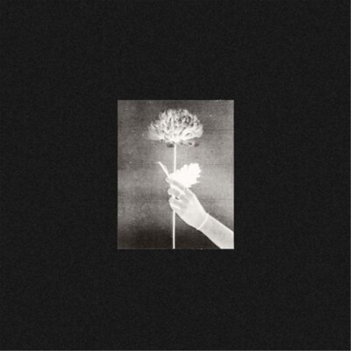 White Flowers Day By Day (Vinyl LP) 12" Album