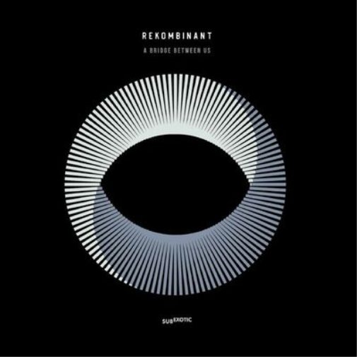 Rekombinant A Bridge Between Us (Vinyl LP) 12" Album
