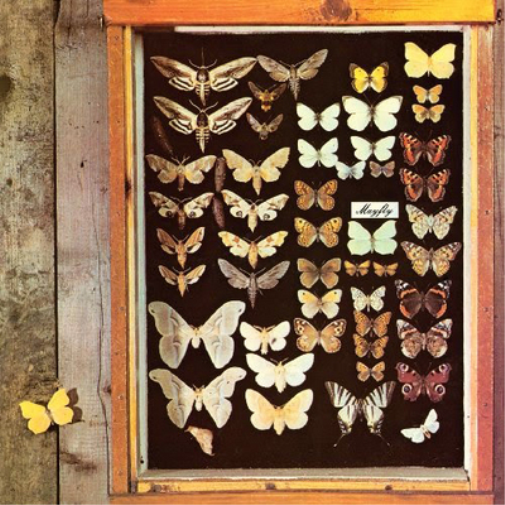 Mayfly Mayfly (CD) Album