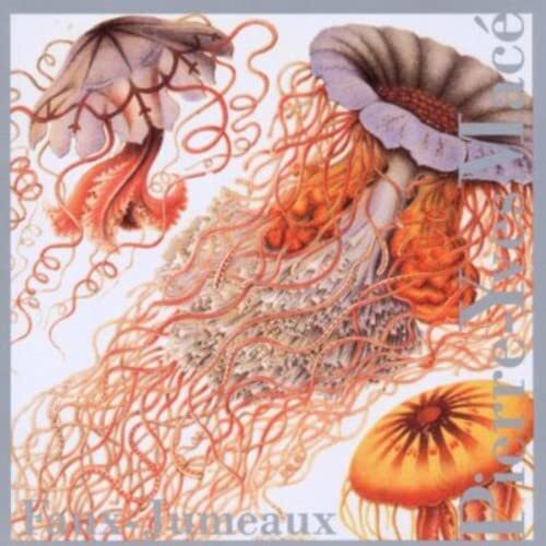 MACE,PIERRE-YVES Faux-Jumeaux (CD)