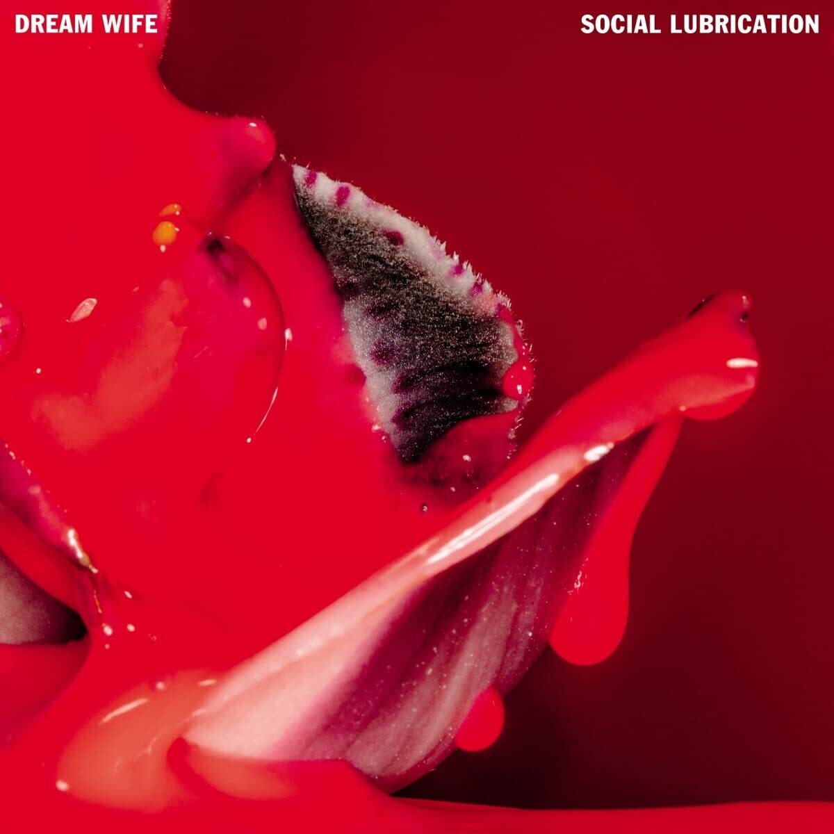 Dream Wife Social Lubrication CD NEW