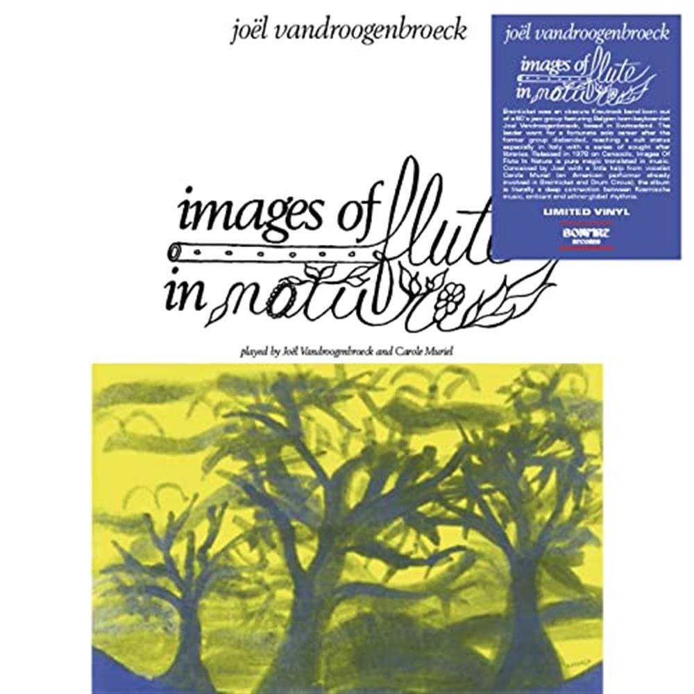 Images Of Flute In Nature - Jo Vandroogenbroeck (Vinile)