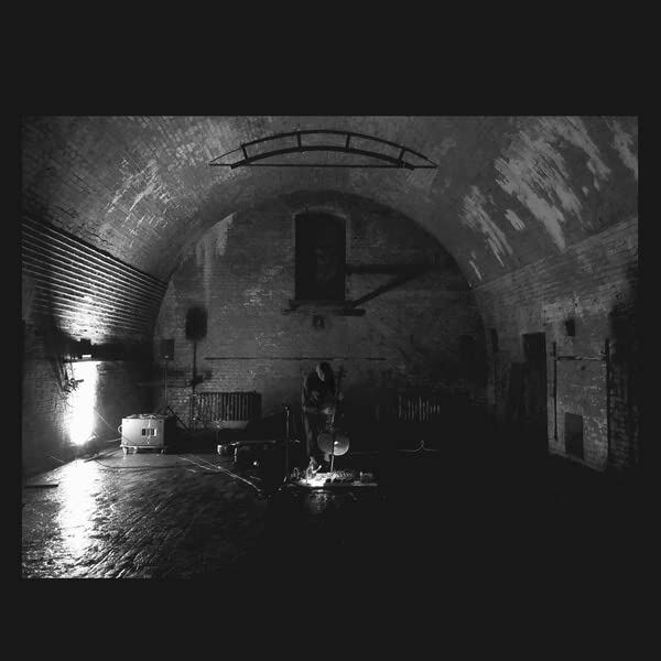 Svarte Greiner Devolving Trust (Vinyl LP)