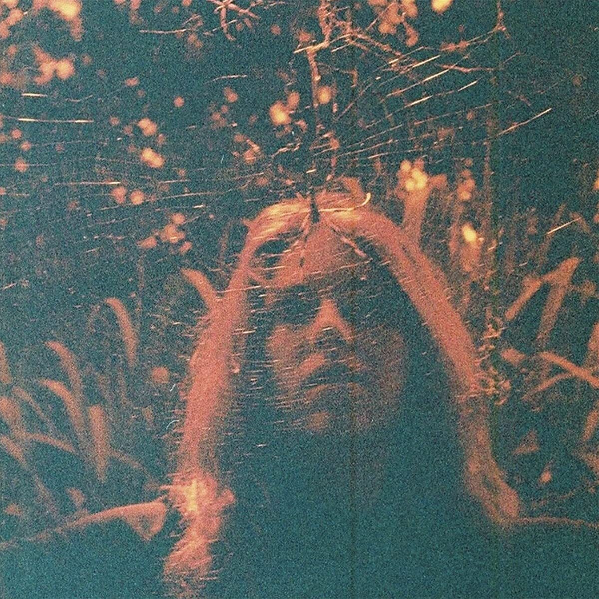 Turnover Peripheral Vision - Clear Orange (Vinyl LP)