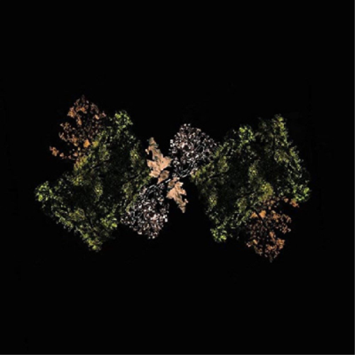 Woodsman Woodsman (Vinyl LP) 12" Album