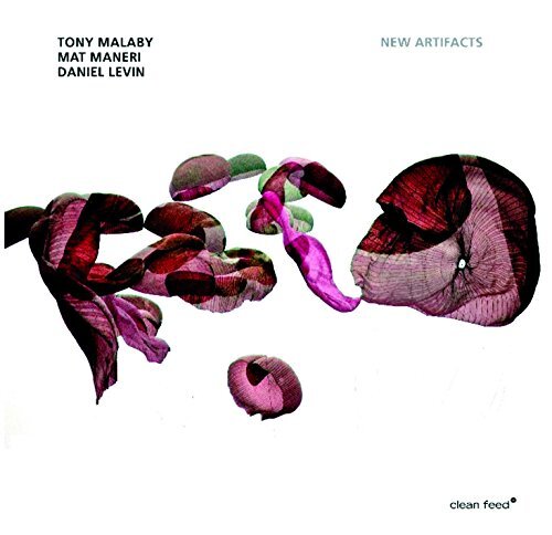 Tony Malaby/Mat Maneri/Daniel Levin Malaby / Maneri / Levin: New Artifacts (CD)