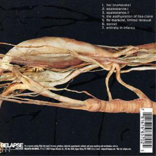 Transfer Trachea Reverberations From Point: False Omniscient (CD) Album