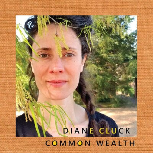 Diane Cluck Common Wealth (CD) Album