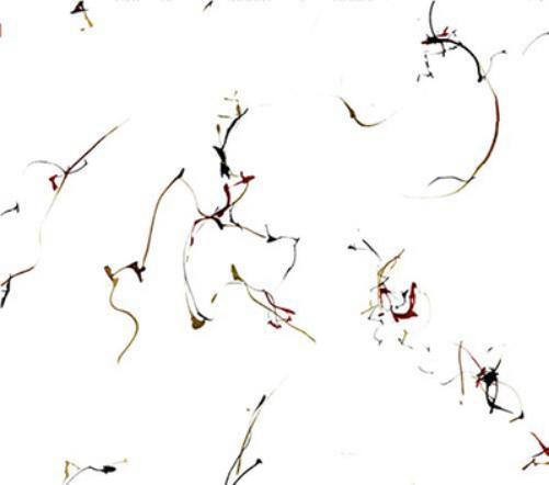 Winged Serpents Six Encomiums for Cecil Taylor (CD) Album