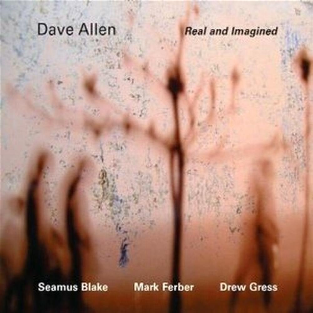 Real And Imagined - Dave Allen (Audio cd)