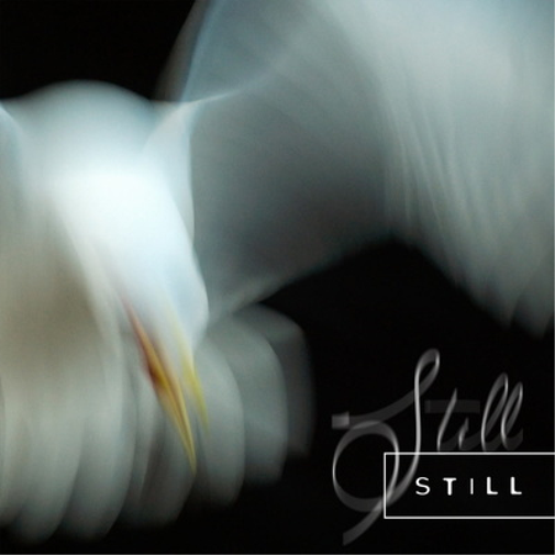 Aria Rostami & Daniel Blomquist Still (CD) Limited  Album