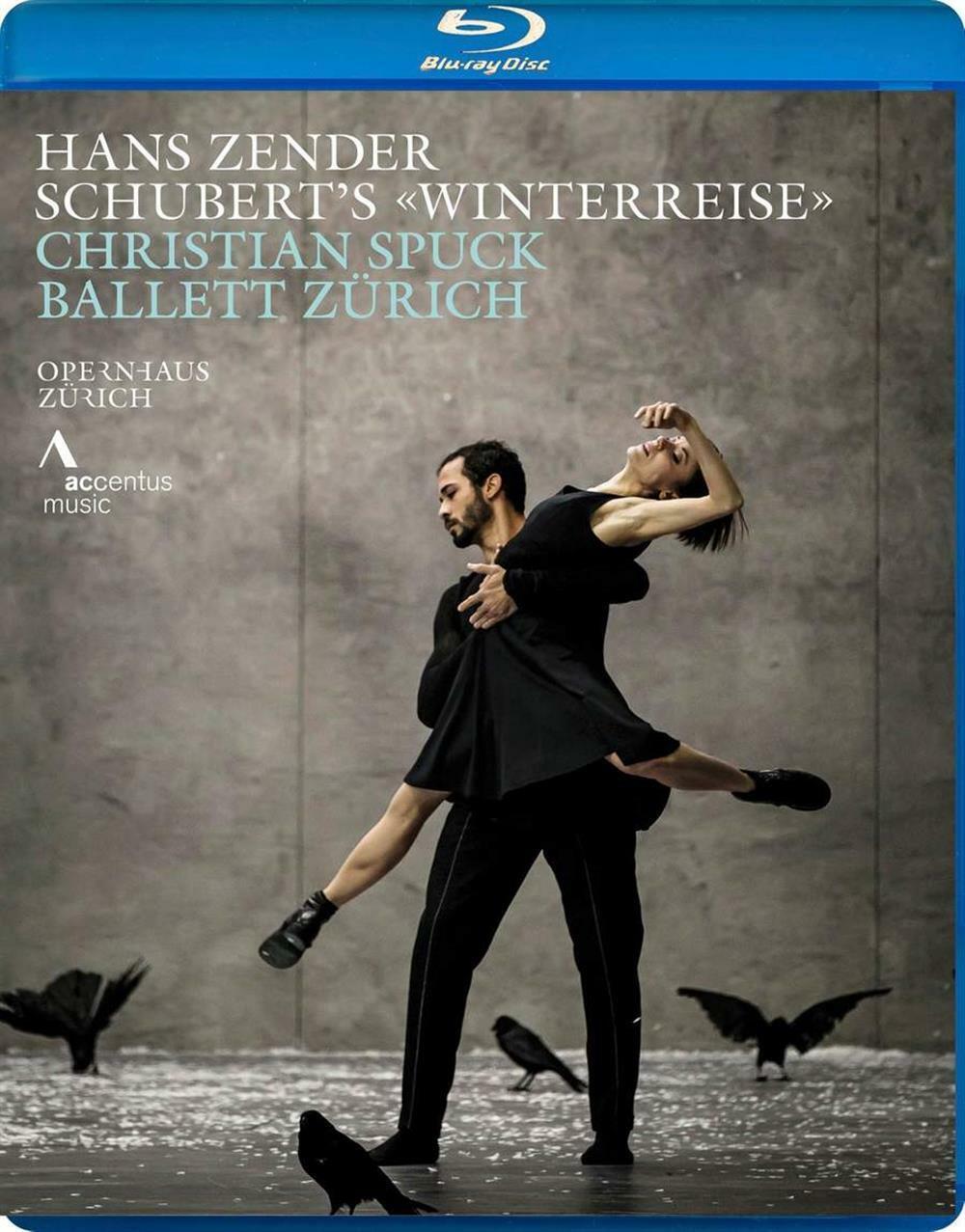 Hans Zender: Schubert Winterreise - AA.VV.