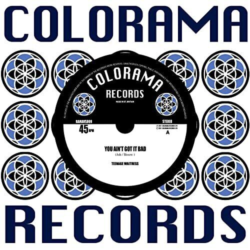 Teenage Waitress You Ain't Got It Bad 7 Inch Vinyl NEW