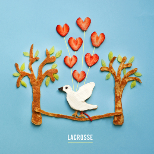 Lacrosse Are You Thinking of Me Every Minute of Every Day? (CD) Album
