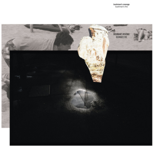 Bushman's Revenge Bushman's Fire (Vinyl LP) 12" Album