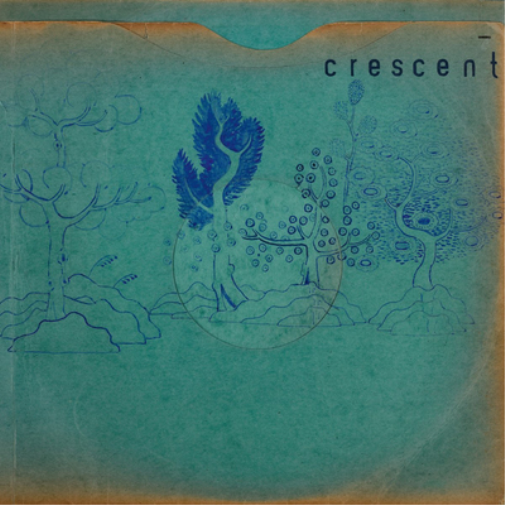 Crescent Resin Pockets (Vinyl LP) 12" Album