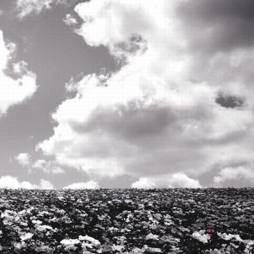 Bump of Chicken Hana No Na (CD)
