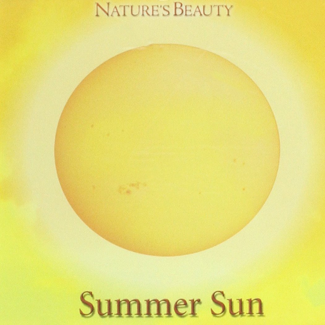 VARIOUS WELLNESS - SUMMER SUN (CD)