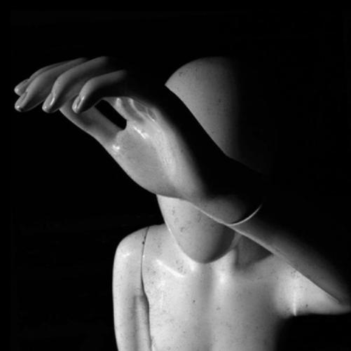 The Little Ships Like Shadows (CD) Album