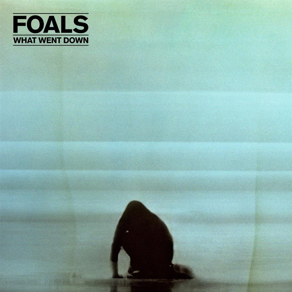What Went Down - Foals (Audio Cd)