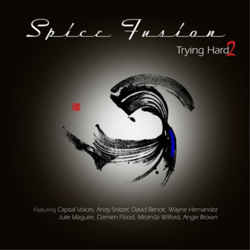 Spice Fusion Trying Hard 2 (Vinyl LP) 12" Album