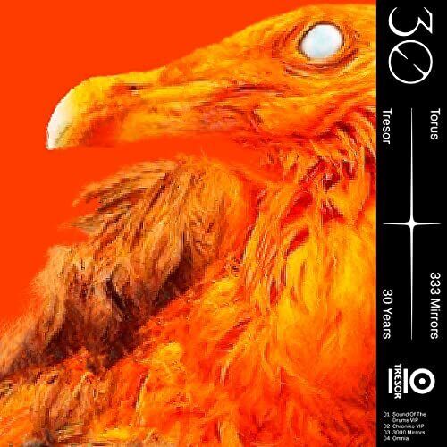 Torus 333 Mirrors 12 Inch Vinyl NEW