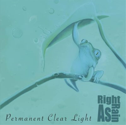 Permanent Clear Light Right As Rain (Vinyl LP) 12" Album