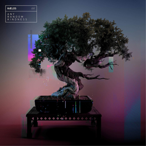 Haelos Any Random Kindness (Vinyl LP) 12" Album
