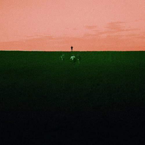 Dust Covered Carpet Witness Me, Pass Out (CD) Album