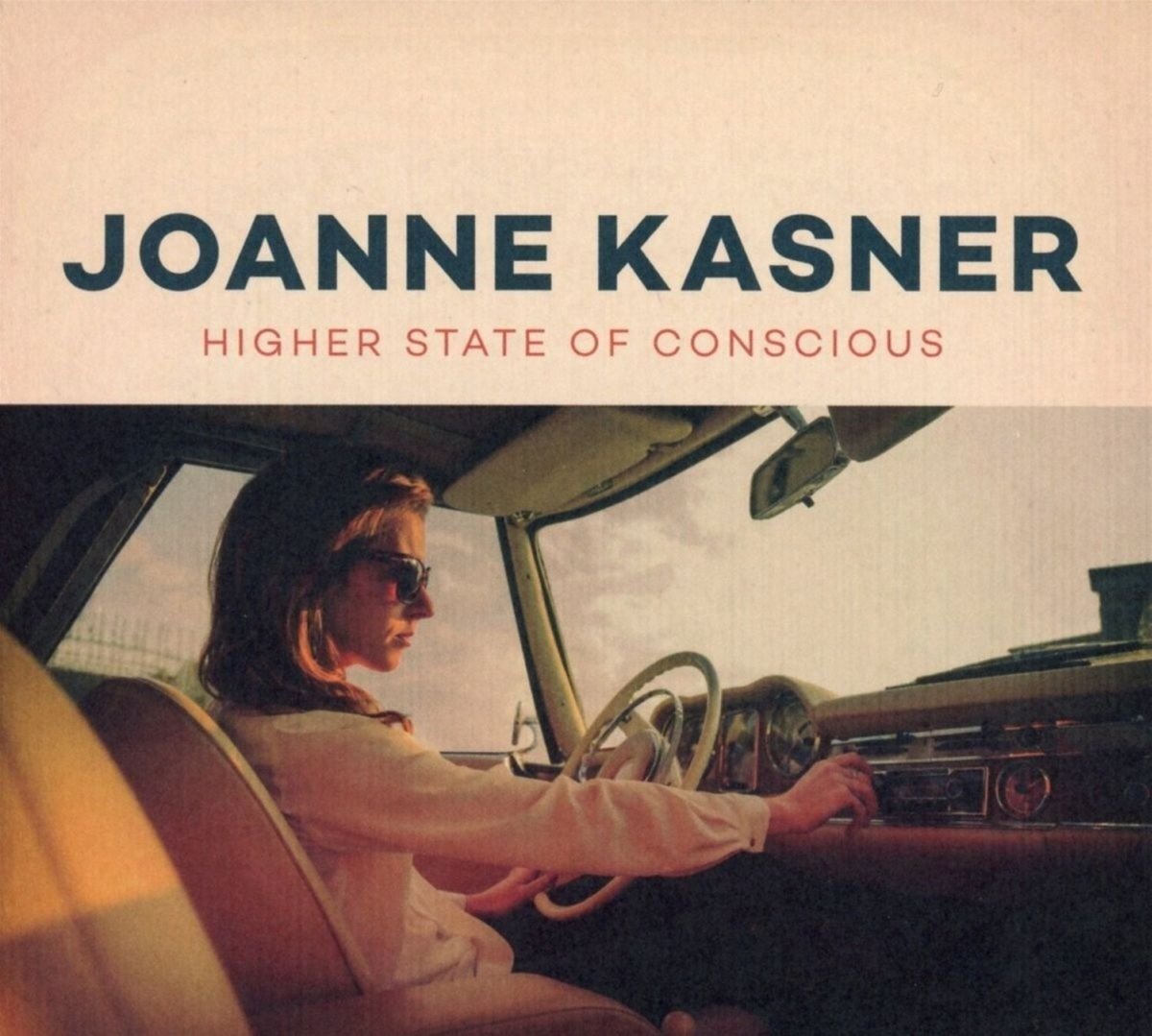 Joanne Kasner Higher State of Conscious (LP) (Vinyl LP)