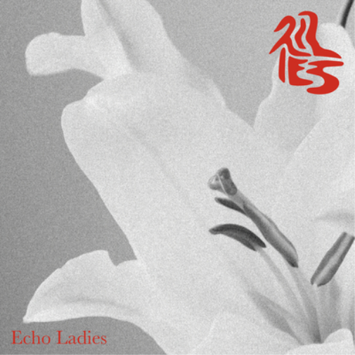 ECHO LADIES LILIES (WHITE VINYL) (Vinyl LP)