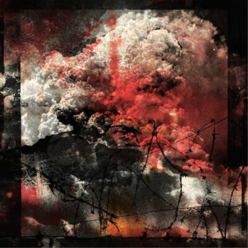 Ruin Lust Dissimulant (Vinyl LP) 12" Album