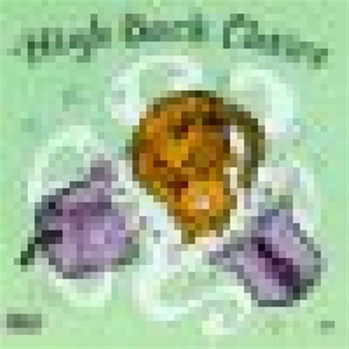 Curiosity And Relief - High Back Chairs (Audio CD)